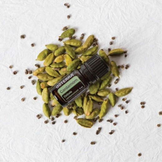 Cardamom Essential Oil