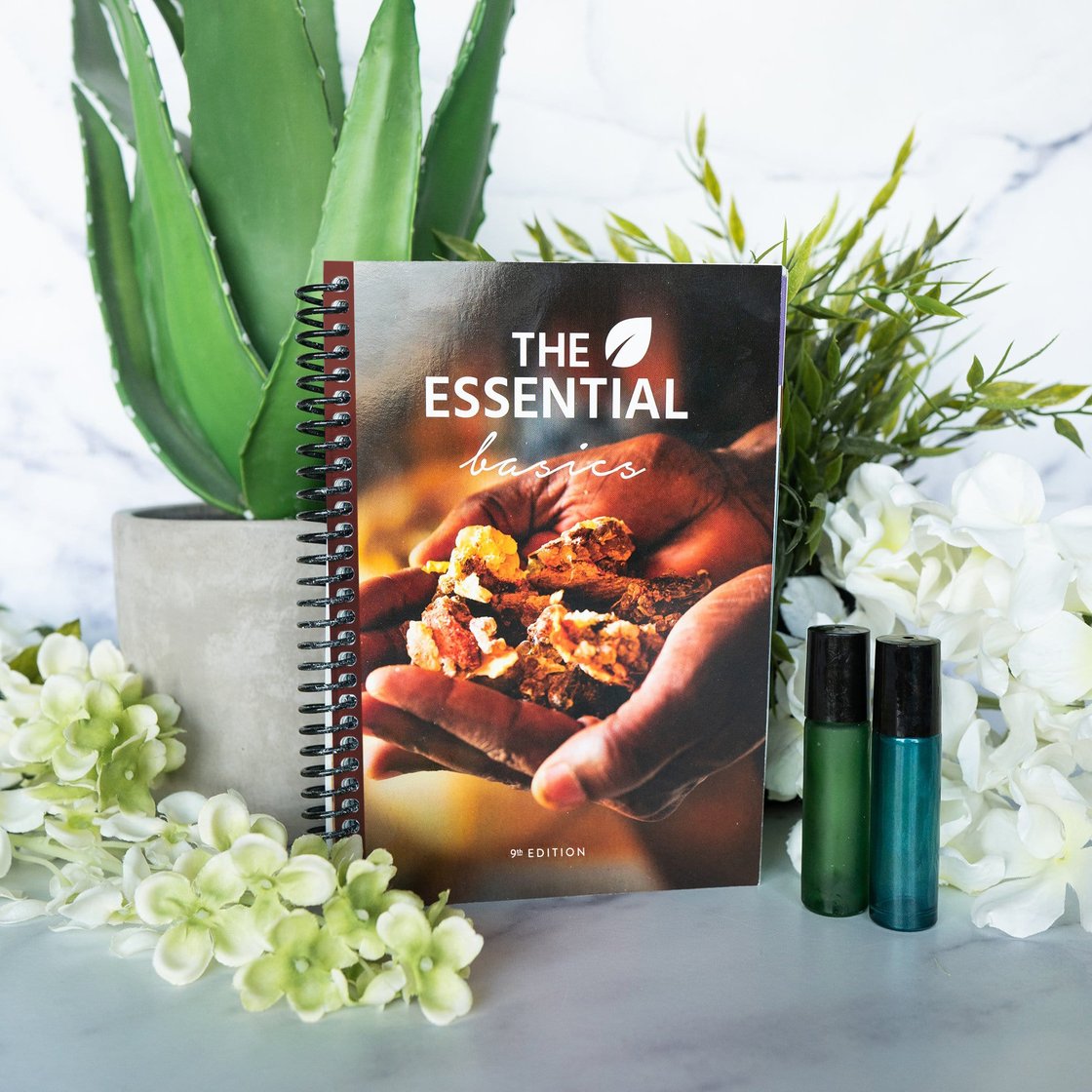 The Essential Basics Book 9th Edition.