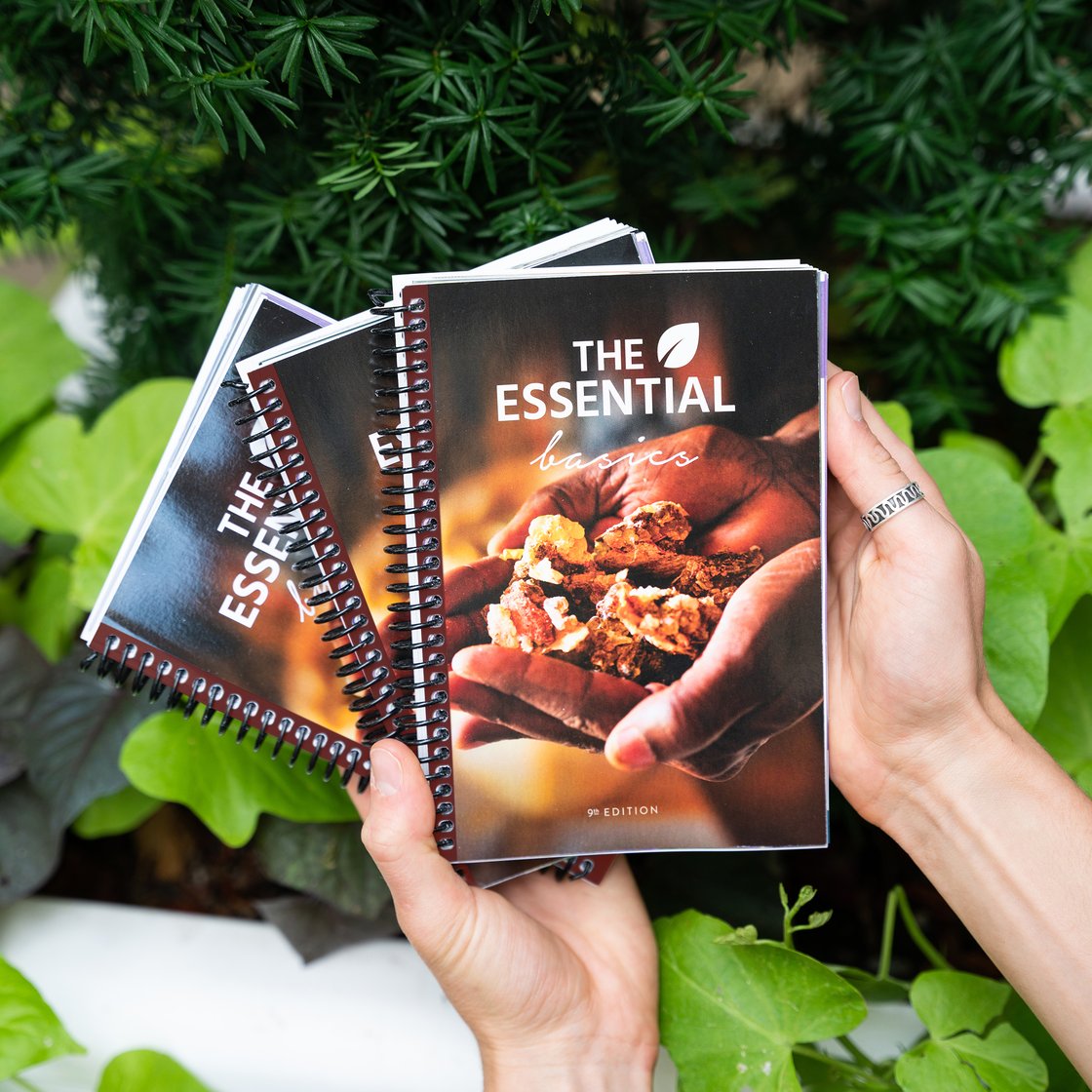 The Essential Basics Book, 9th Edition